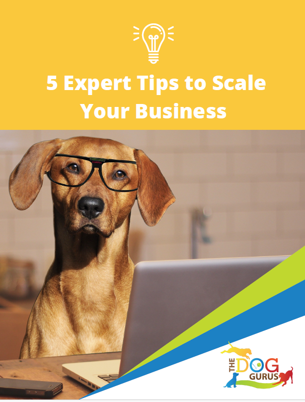 5 Expert Tips to Scale
